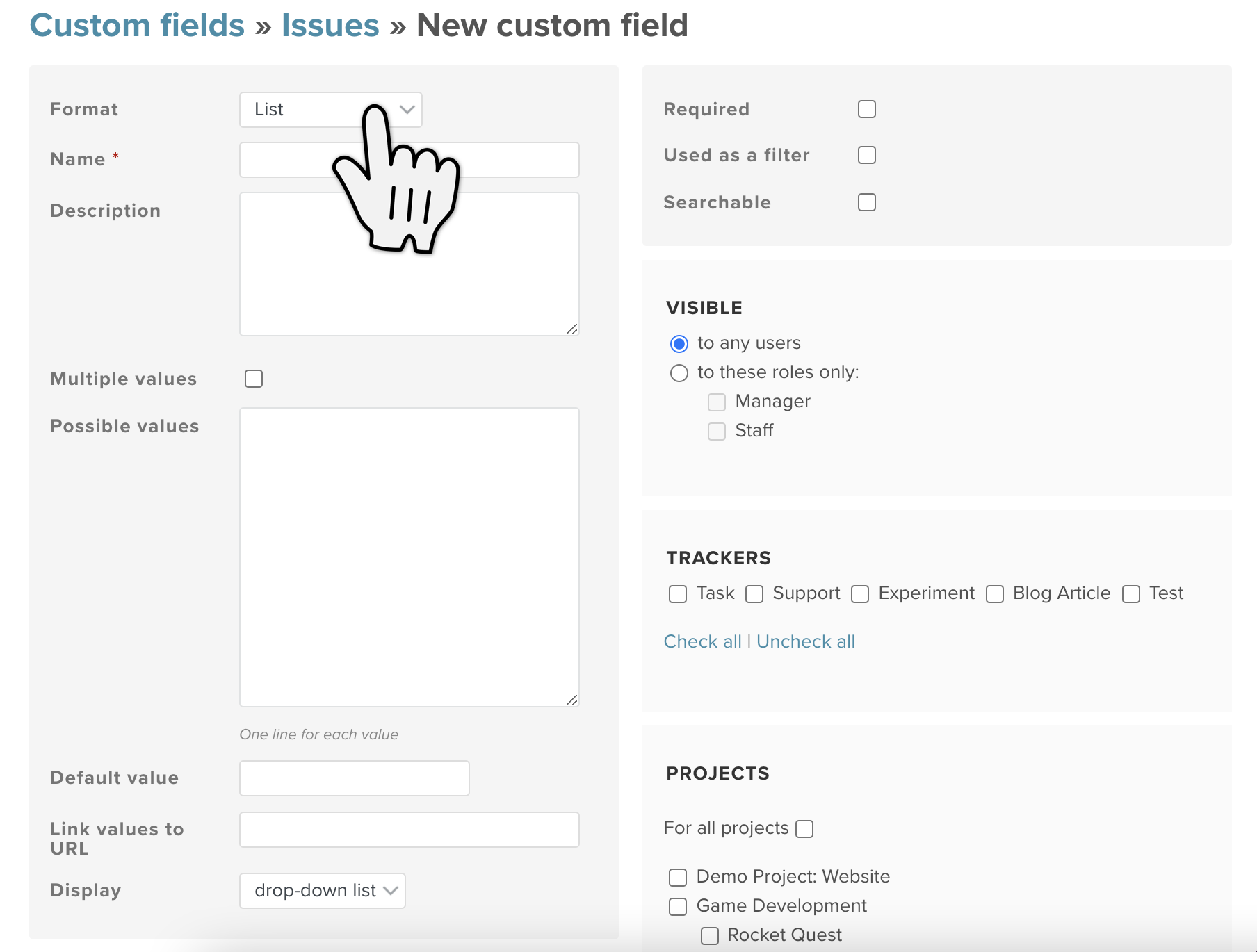 custom-field-format-choose-with-hand@2x.png
